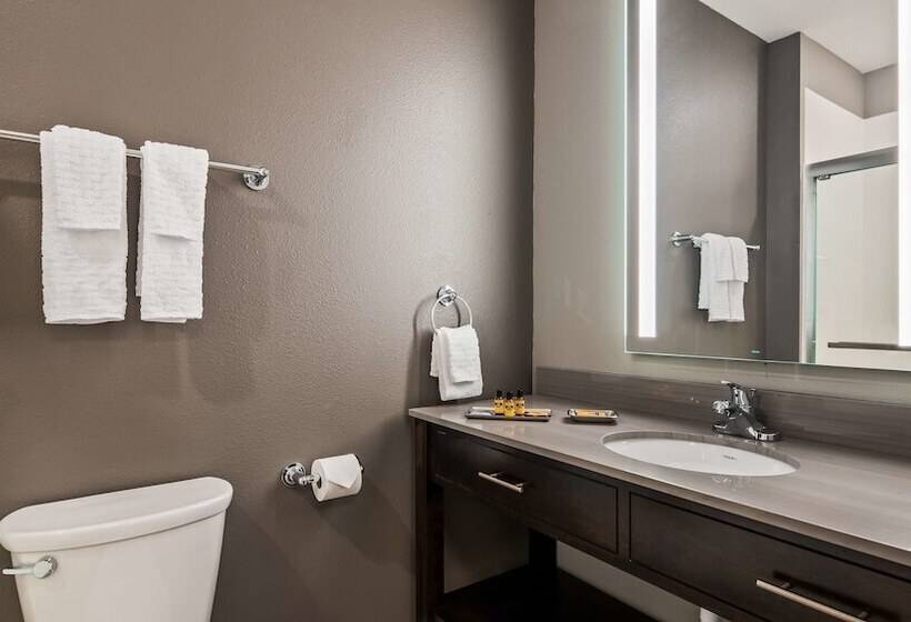 Люкс, Best Western Plus Saint Peter