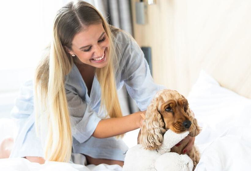 غرفة سوبيريور, T62