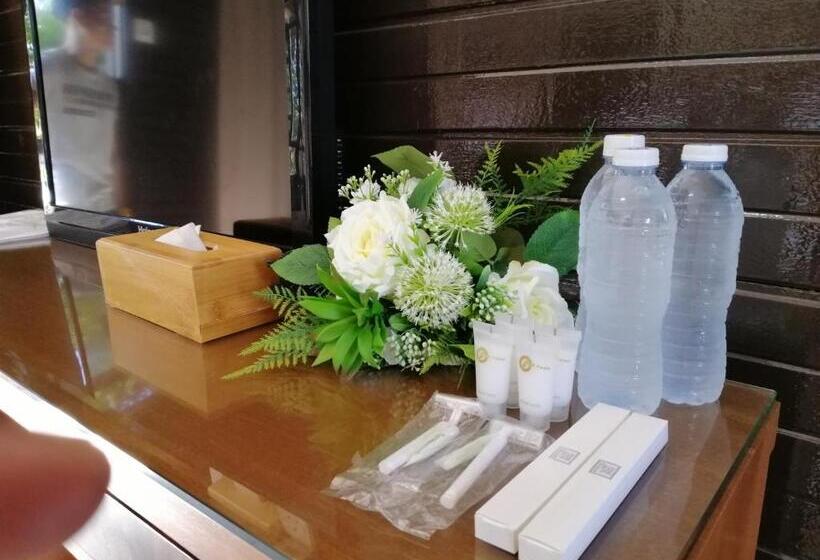 4인용 스탠다드 룸, Asiacamp Resort