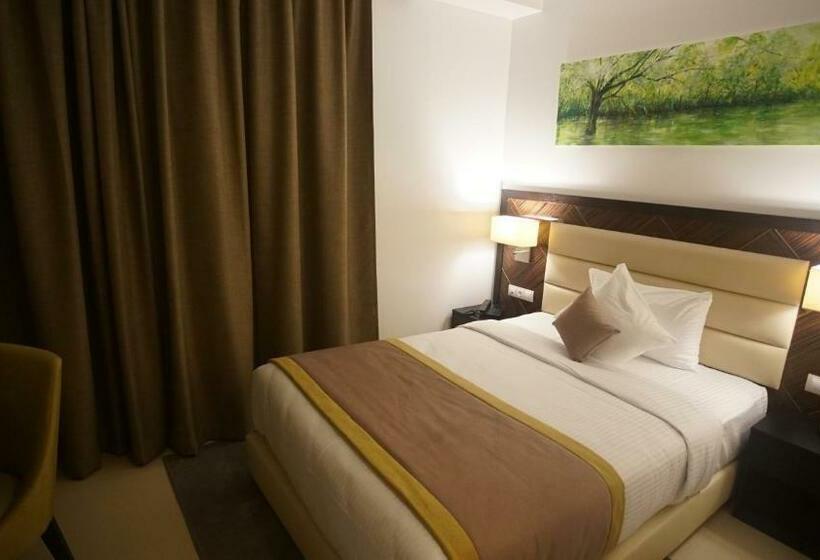 اتاق استاندارد, Best Night 2