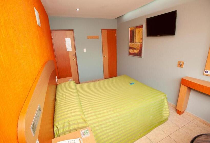 スタンダードルーム, Lira Solo Adultos