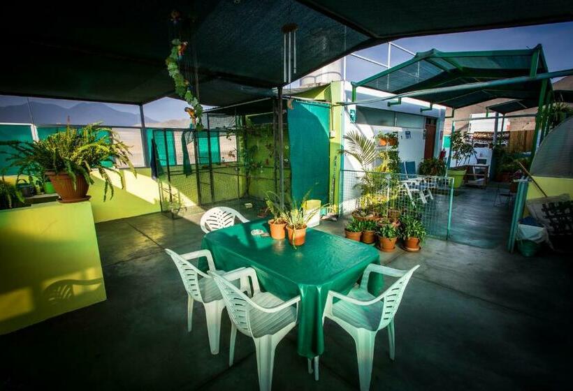 스탠다드 룸 공동 욕실, Mama Backpackers