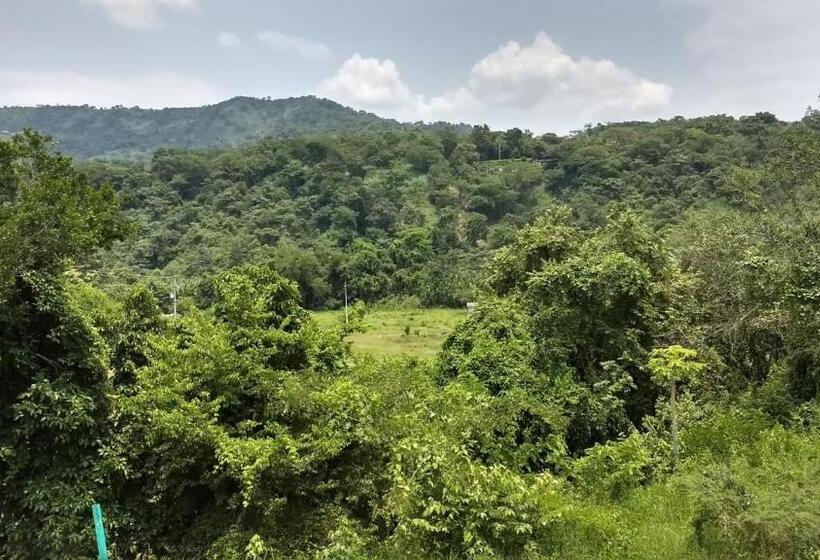 Трехместный Номер Комфорт, Spa Excalibur