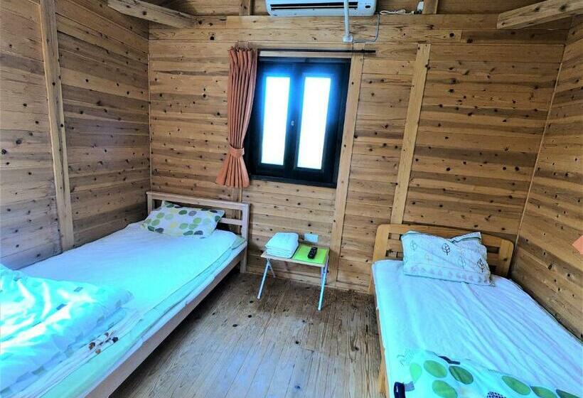 Номер Стандарт, Koinami