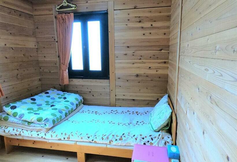 Номер Стандарт Индивидуальный, Koinami