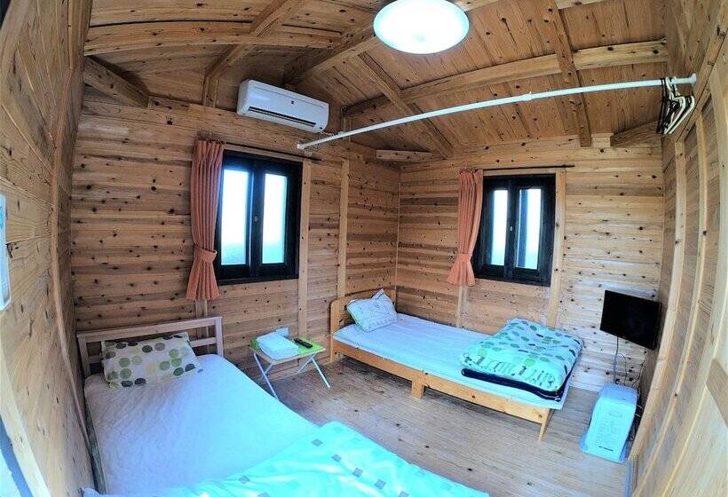 Номер Стандарт, Koinami