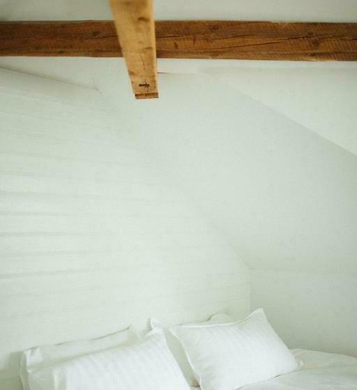 اتاق استاندارد, Hoepfner And Tulinius Historical Houses