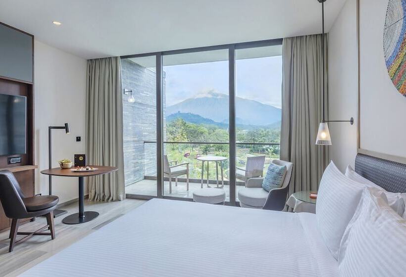 Номер Deluxe Вид на Город, Gran Melia Arusha