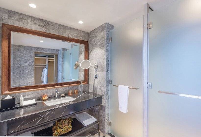 Номер Deluxe с Видом, Gran Melia Arusha