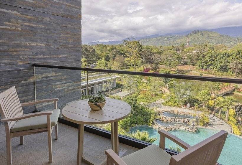 Номер Deluxe с Видом, Gran Melia Arusha
