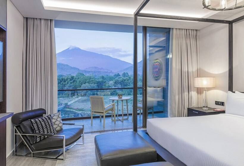 Люкс 2 Спальни, Gran Melia Arusha