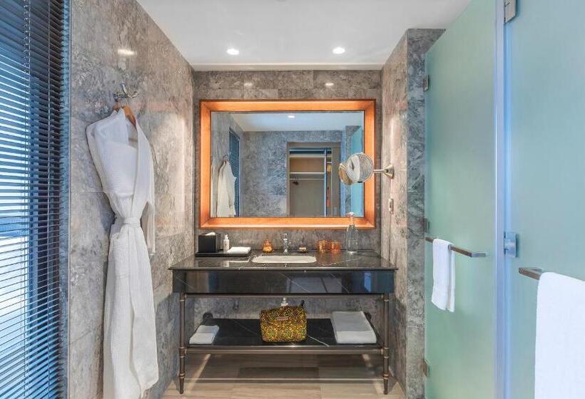 Номер Deluxe Вид на Город, Gran Melia Arusha