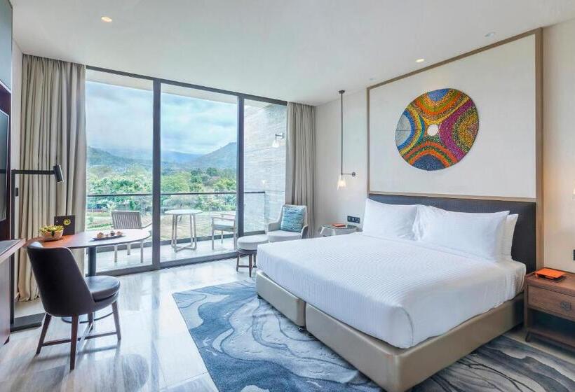 Номер Deluxe Вид на Город, Gran Melia Arusha