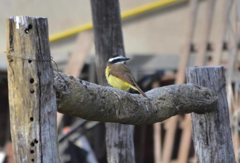 اتاق استاندارد, Cabañas Los Relinchos