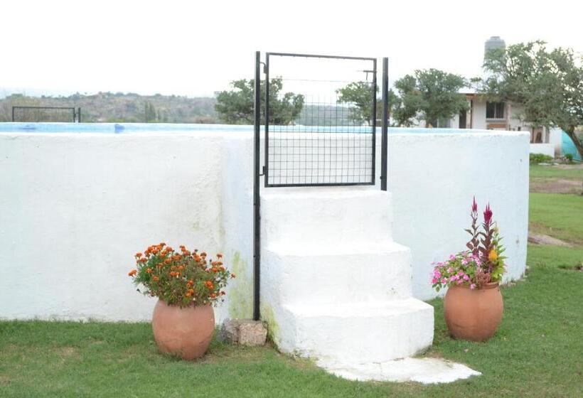 اتاق استاندارد, Cabañas Los Relinchos