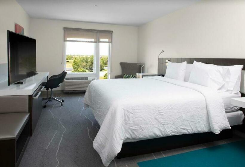 带大床的标准间, Hilton Garden Inn Denver/thornton