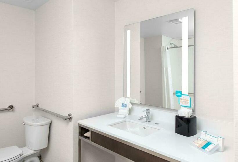 带大床的小型套房, Hilton Garden Inn Denver/thornton