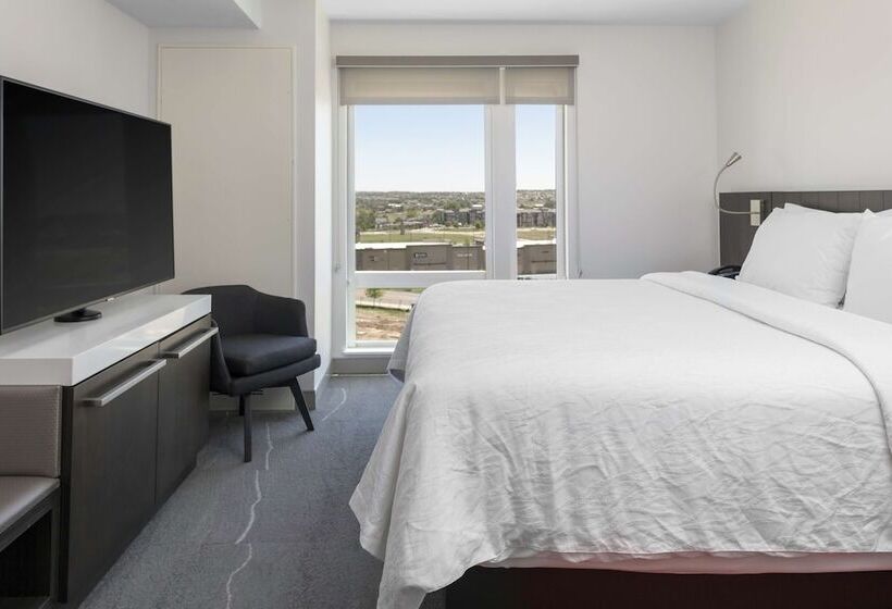 标准间带双人床, Hilton Garden Inn Denver/thornton