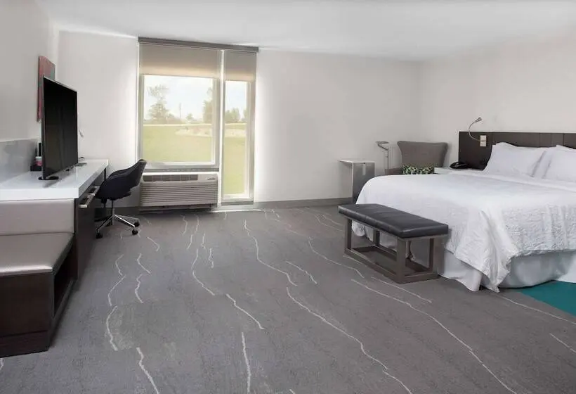 身障者適用ダブルベッド付きスタンダードルーム, Hilton Garden Inn Denver/thornton