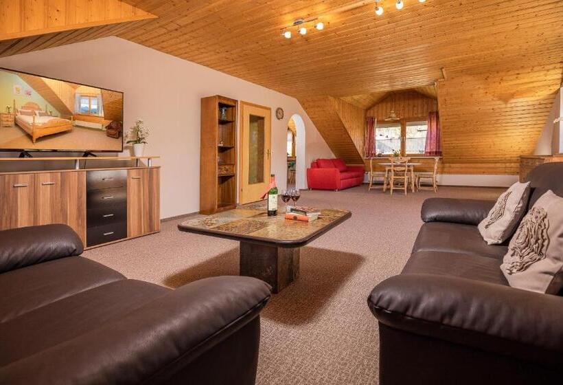 带1个卧室的公寓, Pension Silberbauer