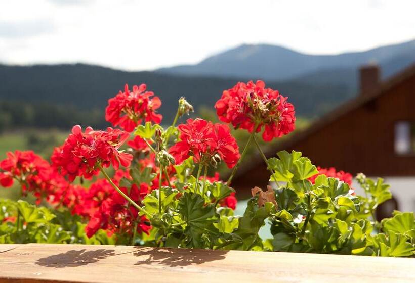 标准间, Pension Silberbauer