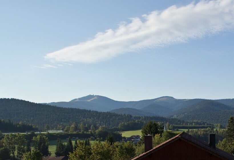 标准单人间, Pension Silberbauer