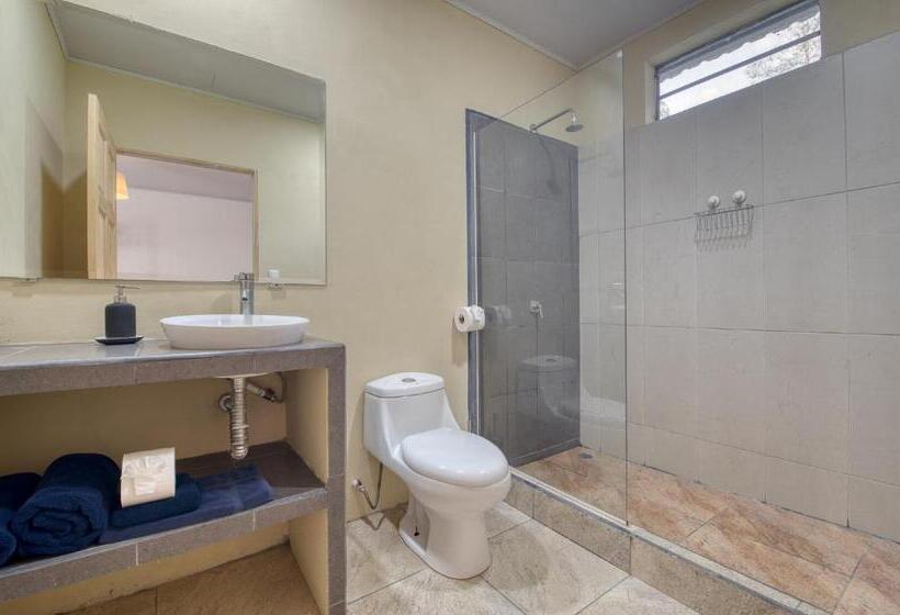 דירת חדר, La Tica Y La Gata