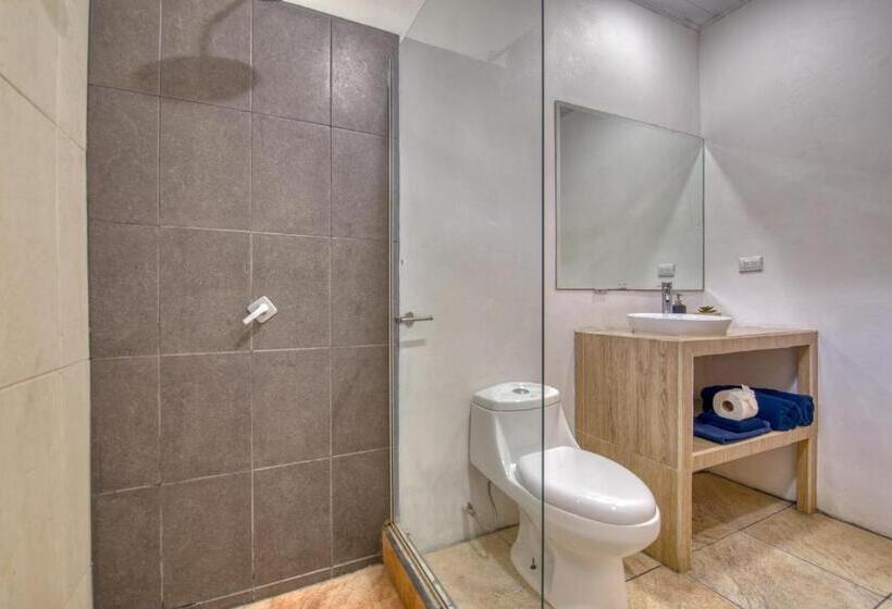 דירת חדר, La Tica Y La Gata