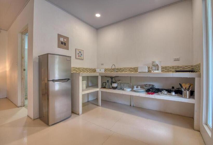 דירת חדר, La Tica Y La Gata