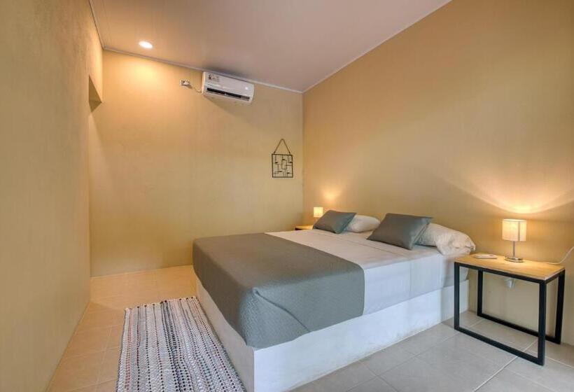 דירת שני חדרים, La Tica Y La Gata