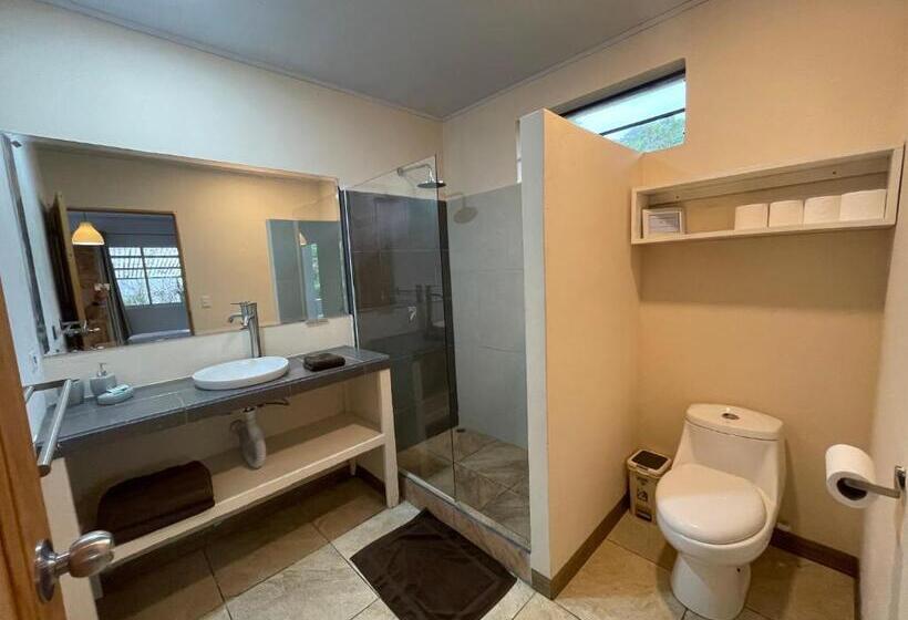 חדר בסיסי, La Tica Y La Gata