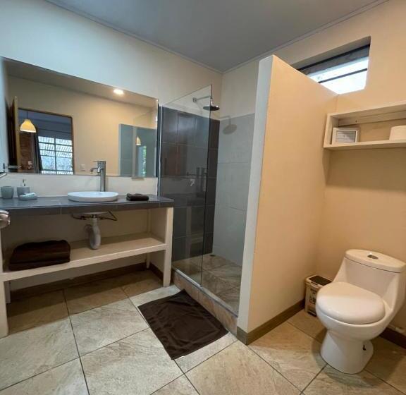 חדר בסיסי, La Tica Y La Gata