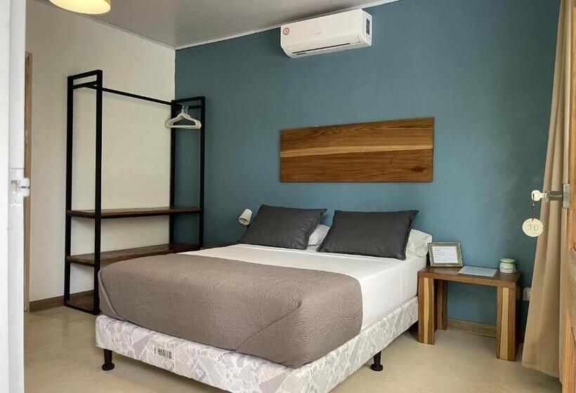 חדר בסיסי, La Tica Y La Gata