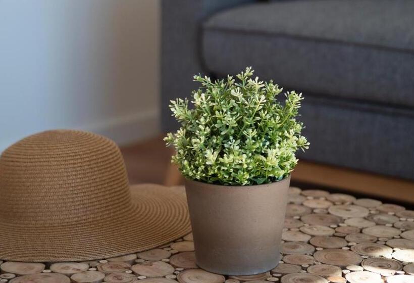 جناح مزود بتراس, Nature Suites Puig Campana