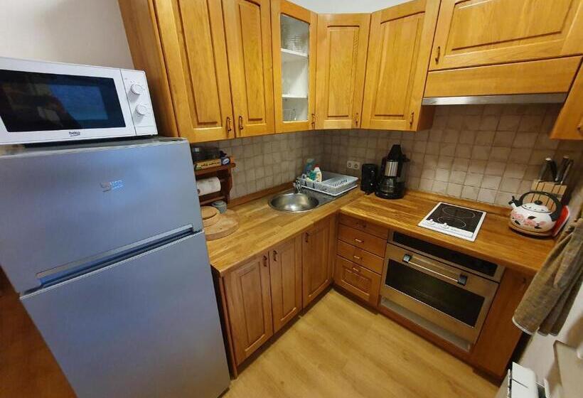 آپارتمان 1 خوابه با بالکن, Miškar Rooms