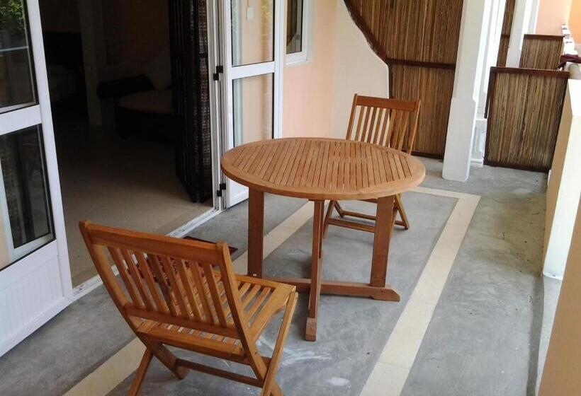 استودیوی استاندارد, Mountain View