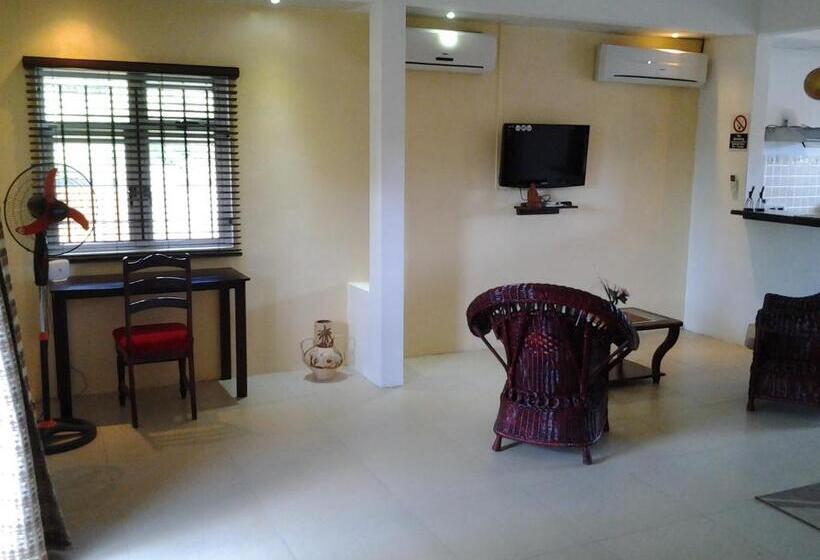 استودیوی استاندارد, Mountain View