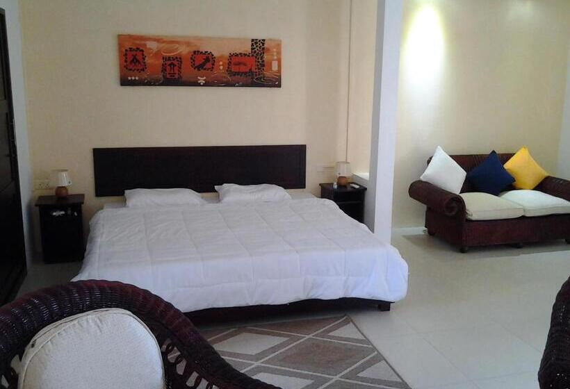 استودیوی استاندارد, Mountain View