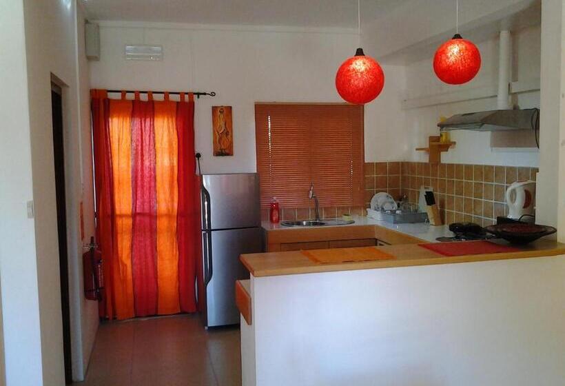 استودیوی استاندارد, Mountain View