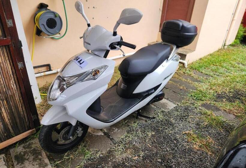 استودیوی استاندارد, Mountain View