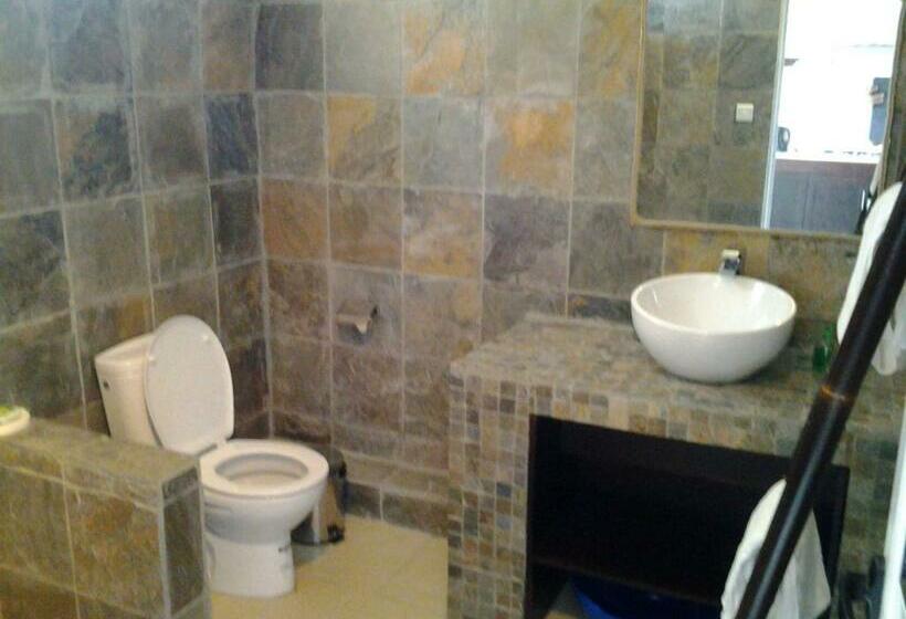 استودیوی استاندارد, Mountain View