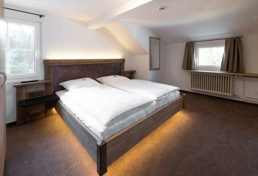 اتاق استاندارد, Reich Am Ebnisee