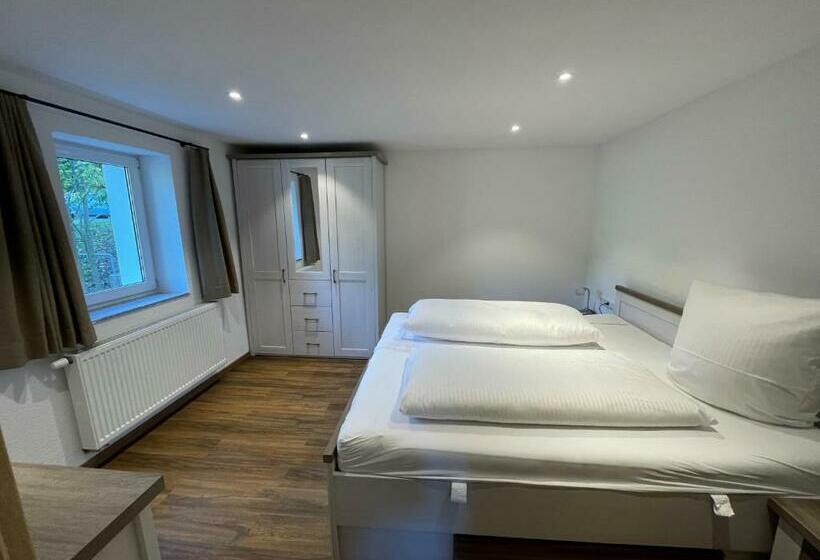 Standard studio with lake view, Reich Am Ebnisee