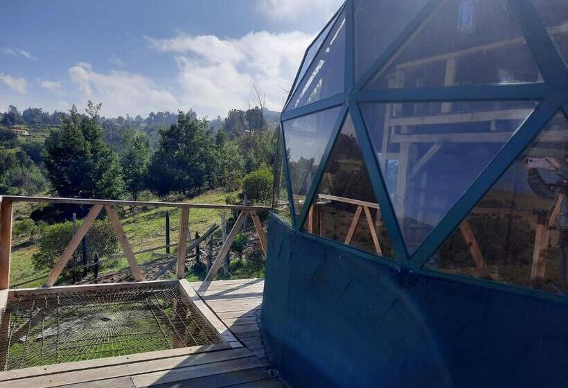 Standard Tent, Benigno Mirador