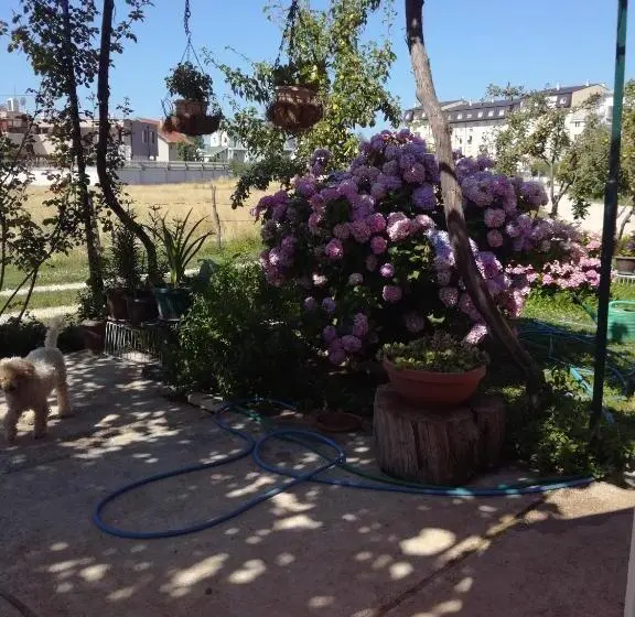 اتاق لوکس, Frile Apartments