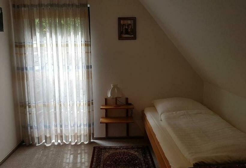 غرفة قياسية فردية, Frankenstube Winkelhaid