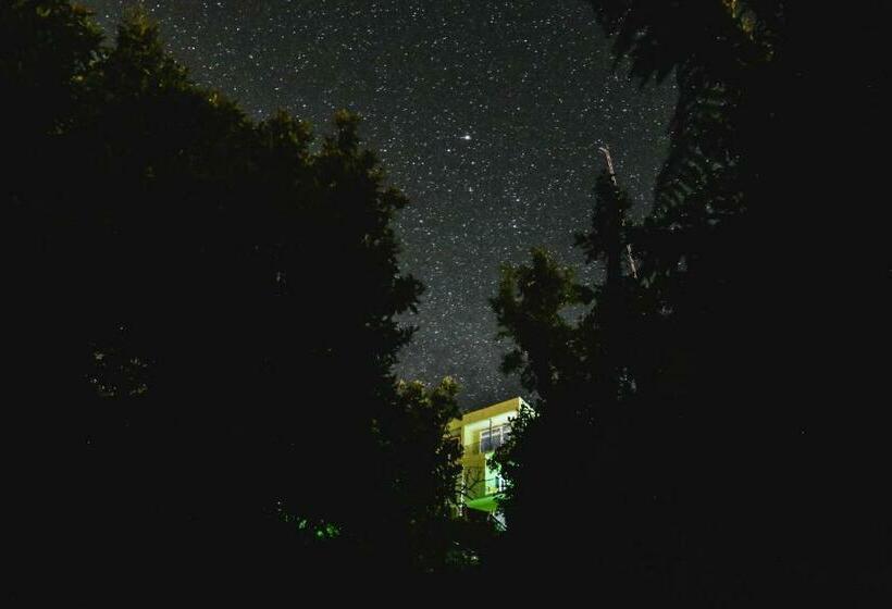 اتاق لوکس با چشمانداز دریا, Inn David