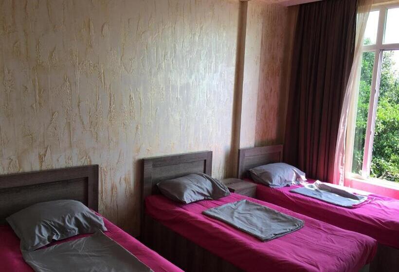 آپارتمان 2 خوابه, Inn David