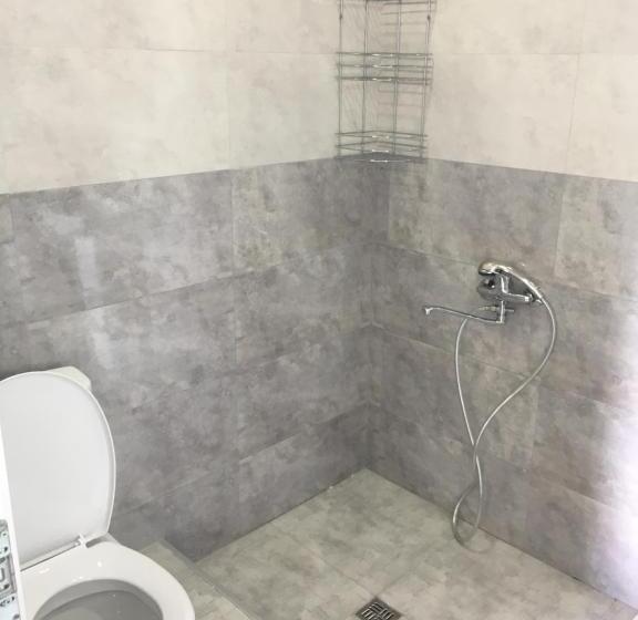 آپارتمان 2 خوابه, Inn David