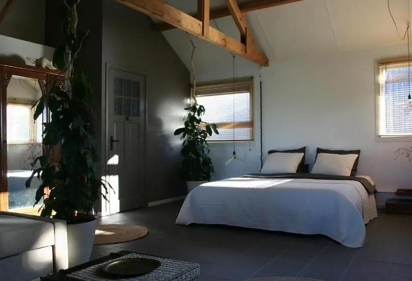 スタンダードスタジオ, B&b De Onlanden